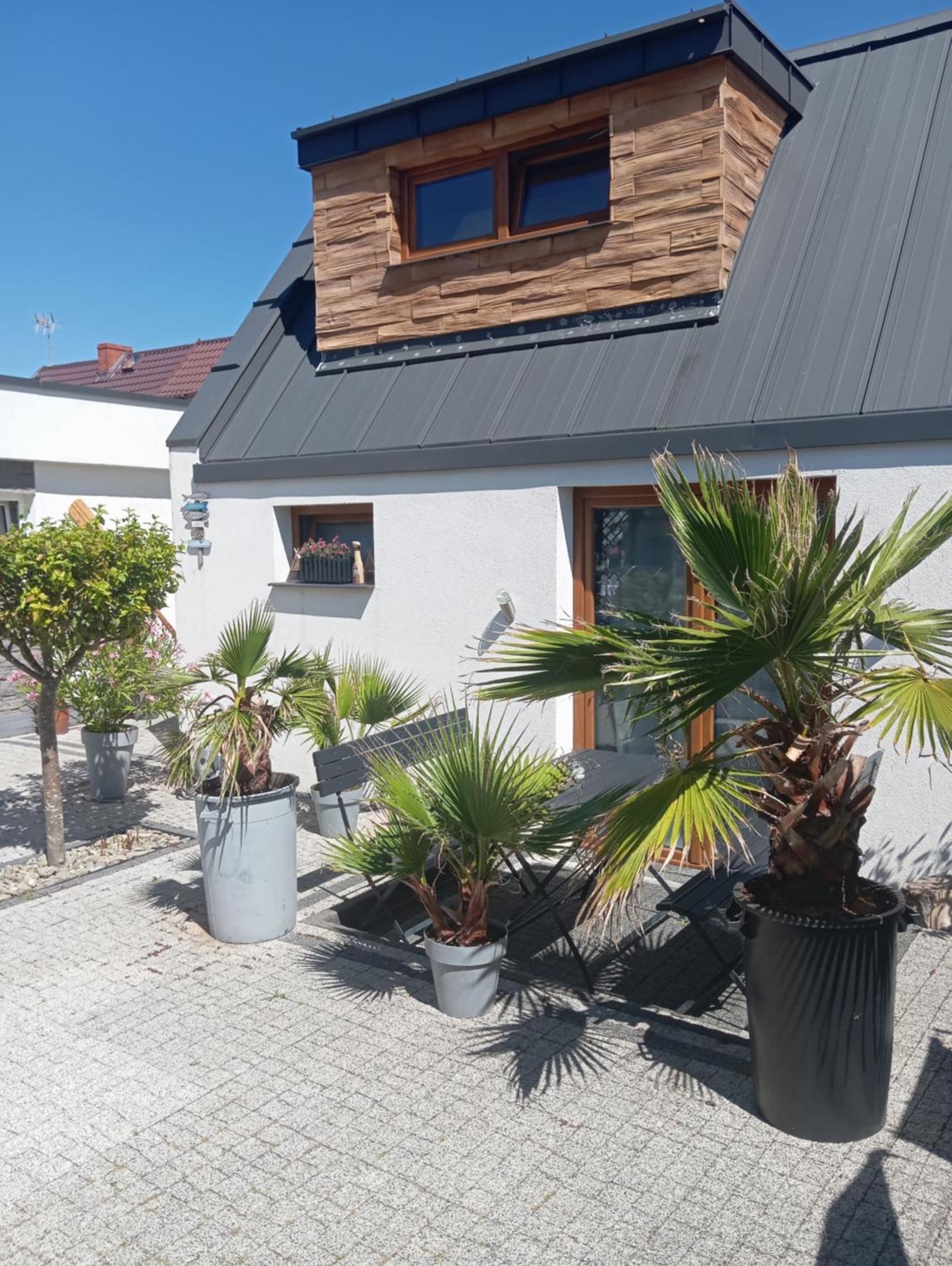 Bungalowy Boja